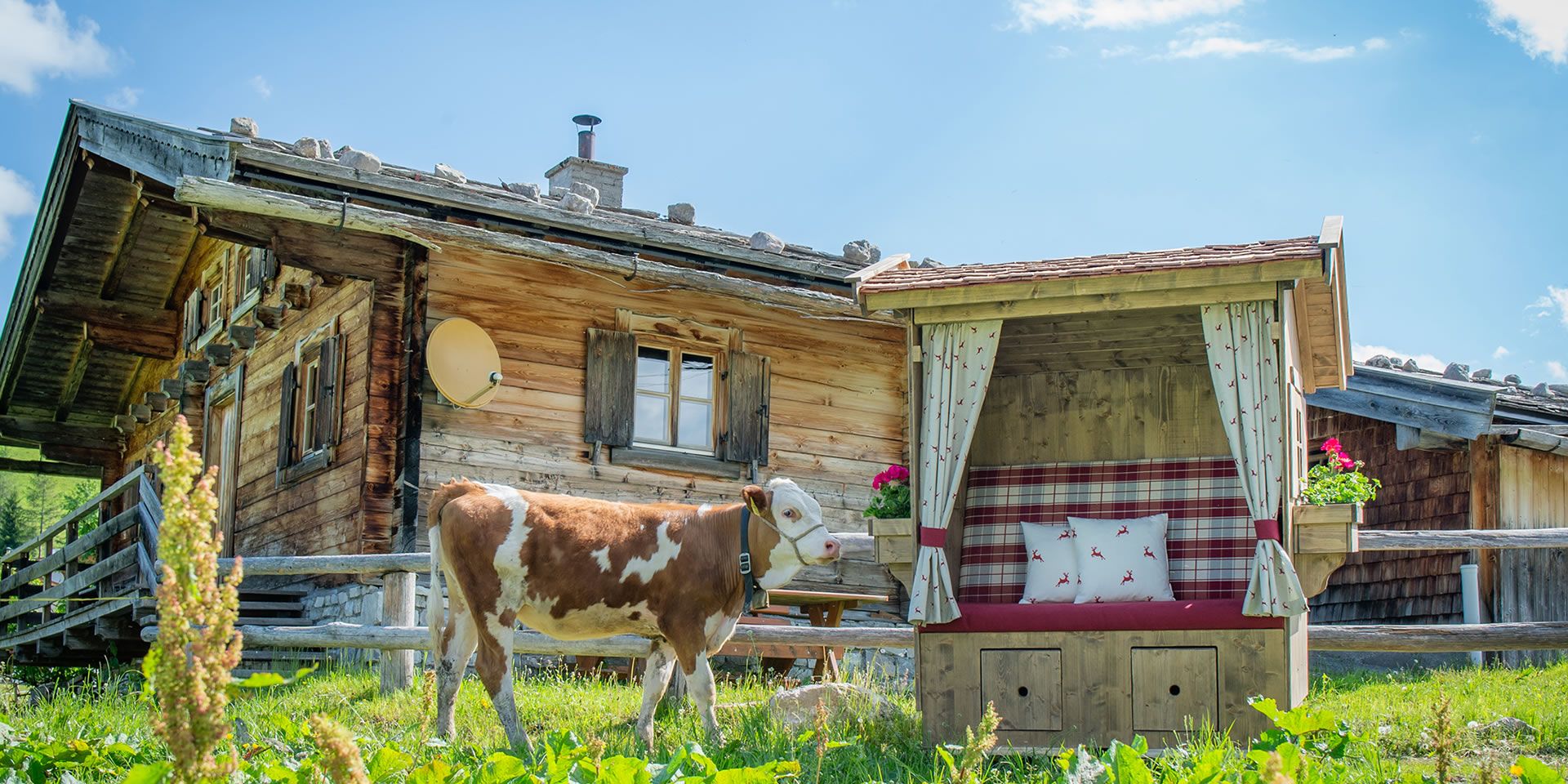 Alpenlaube auf der Alm mit Kuh